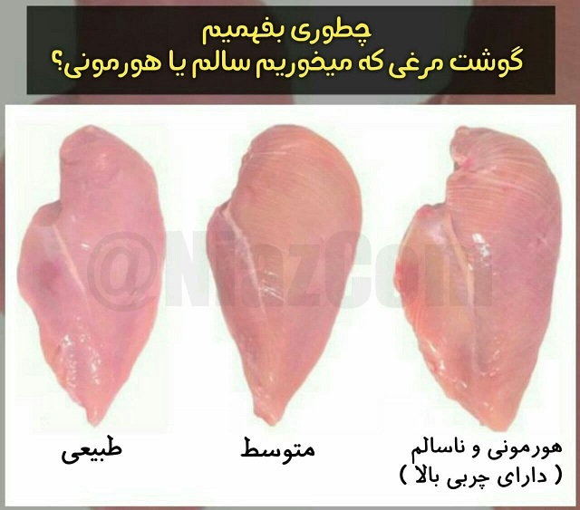 چگونه بفهمیم مرغی که خریده ایم هورمونی است یا نه؟!