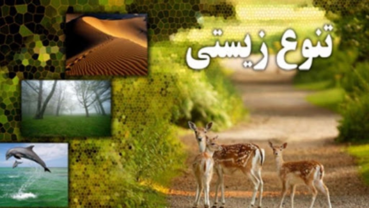 راه‌اندازی پایگاه داده‌های تنوع زیستی کشور در سال آینده