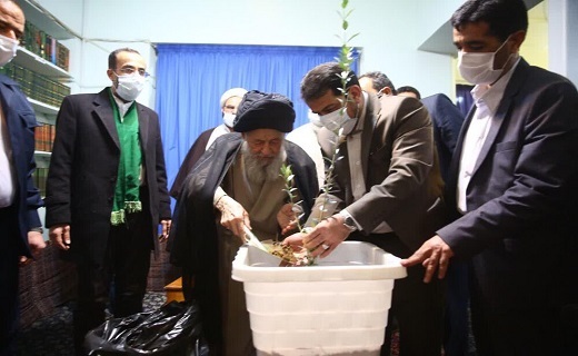 آیت الله علوی گرگانی یک اصله نهال زیتون کاشت+تصاویر