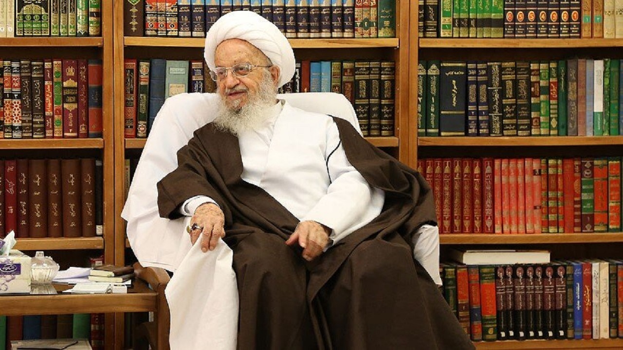 خالی کردن زمین از درخت گناه کبیره است/ انتقاد از جنگل خواری