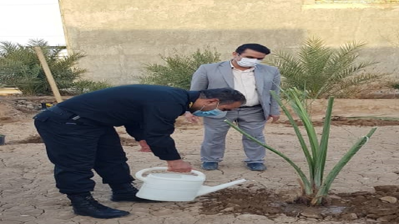 غرس بیش از چهار هزار اصله درخت مثمر در بافق
