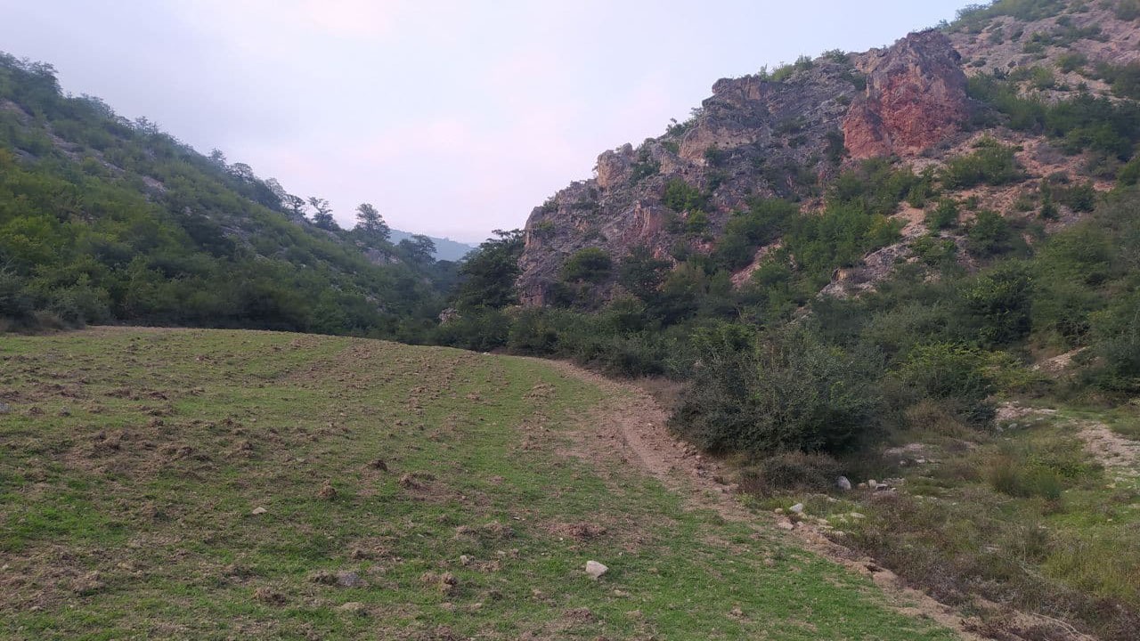 نمایی از طبیعت بهاری در منطقه هزار جریب + تصاویر
