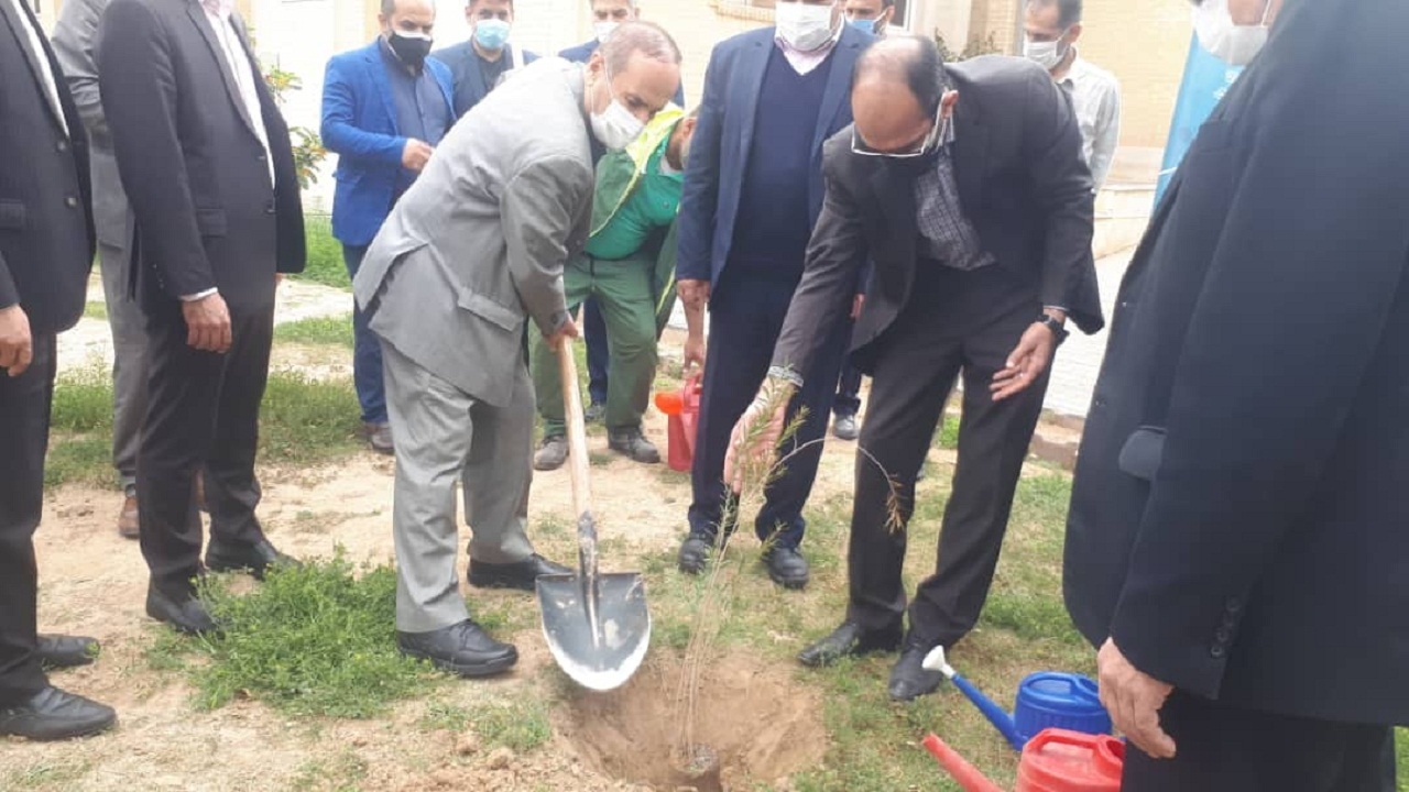 کاشت نهال با حضور استاندار خوزستان