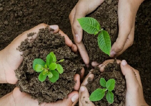 طبیعت منبع انرژی و حیات تمامی جوامع