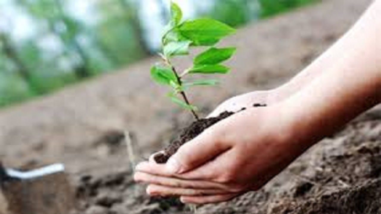 کاشت ۲۰۰ اصله نهال در روز درختکاری در محل بیمارستان استاد شهریار بستان آباد