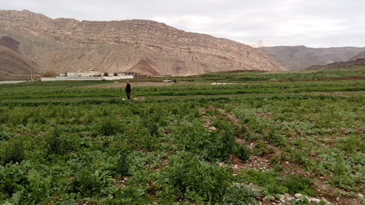 نگاهی به مشکلات کشاورزان لرستانی+ فیلم