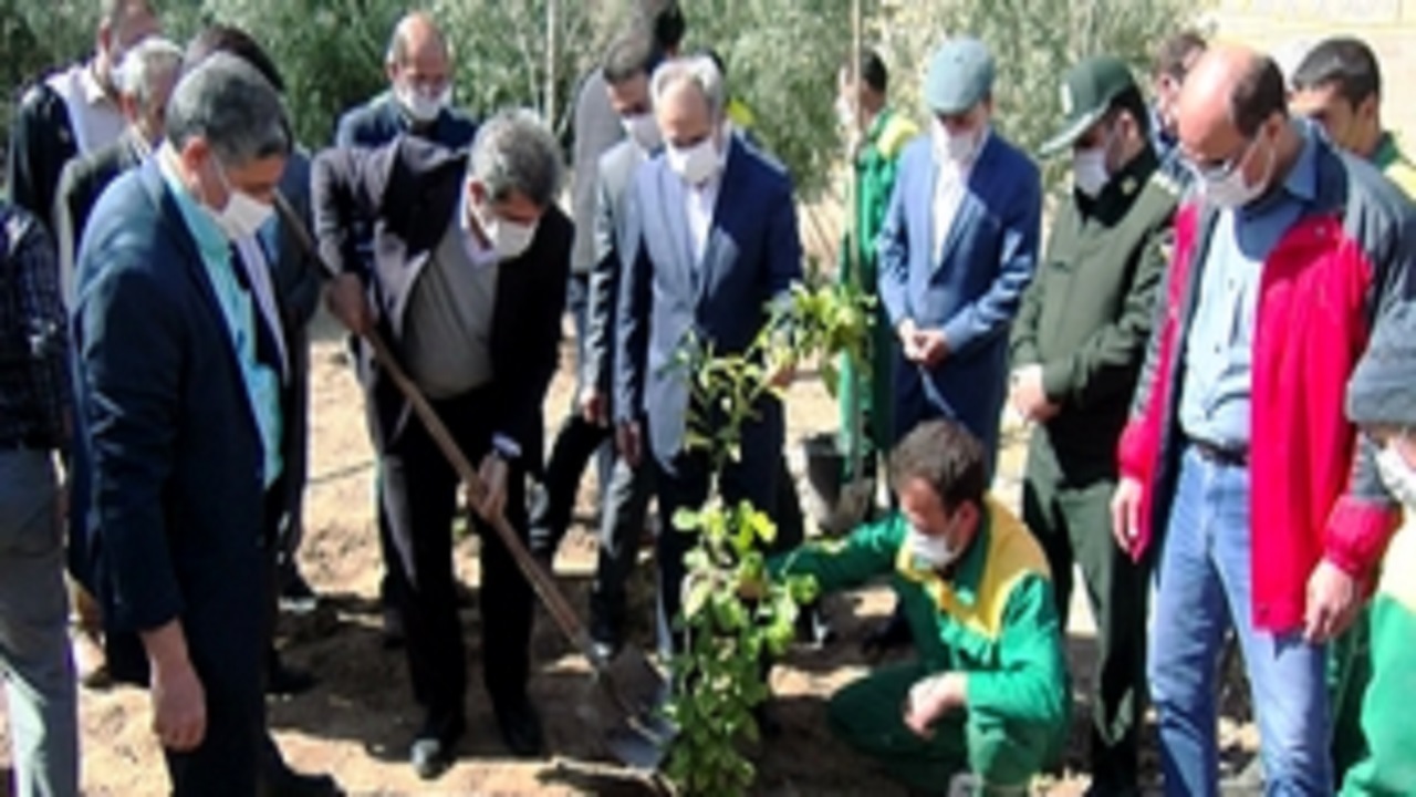 مراسم روز درختکاری در قم برگزار شد