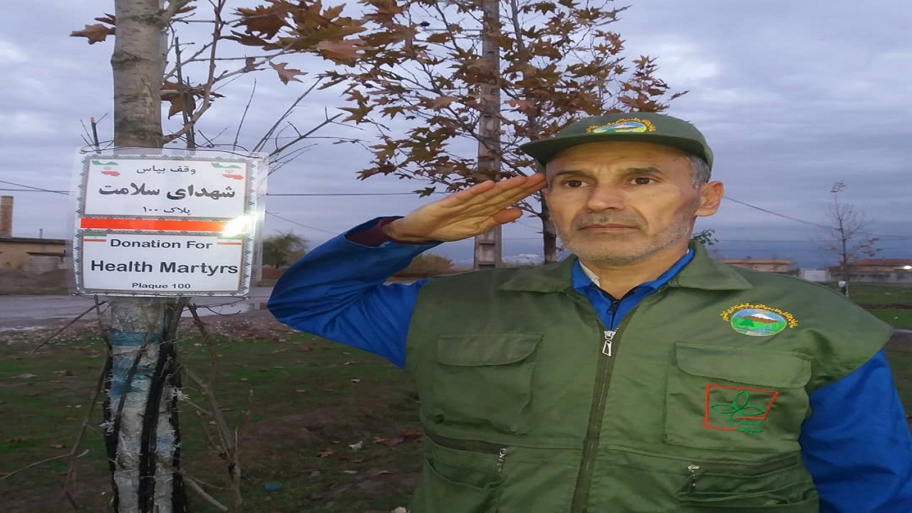 روایتی خواندنی از ماجرای درختانی پرآوازه در یک روستای دور افتاده