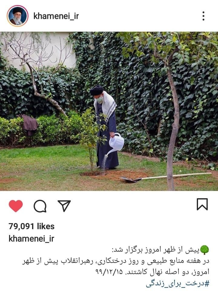 درختکاری رهبر انقلاب