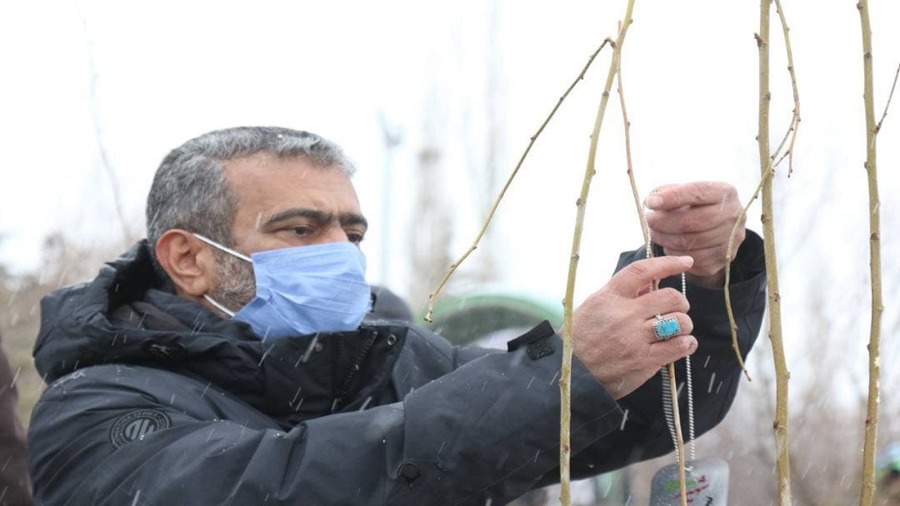 کاشت ۶۸ اصله نهال مزین به پلاک‎‌هایی با نام شهدای شهر اوشان فشم در روز درختکاری + تصاویر