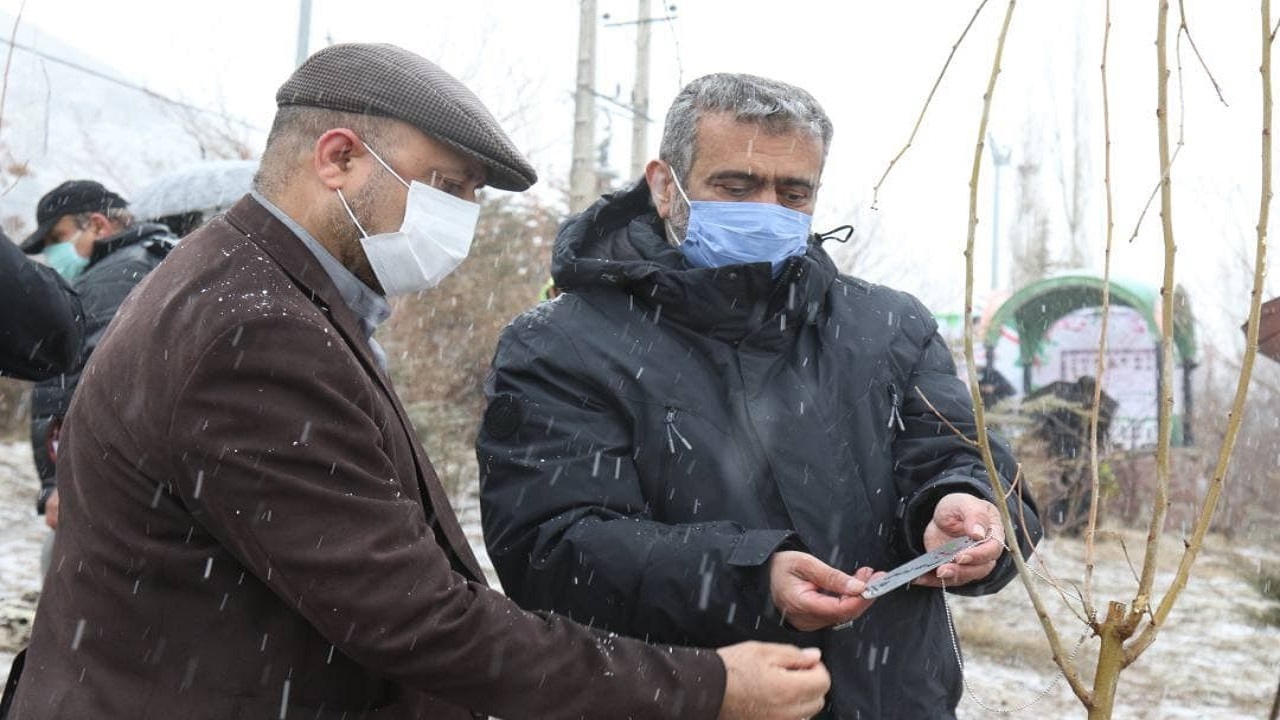 کاشت ۶۸ اصله نهال مزین به پلاکهایی با نام شهدای شهر اوشان فشم در روز درختکاری + تصاویر کاشت ۶۸ اصله نهال مزین به پلاکهایی با نام شهدای شهر اوشان فشم در روز درختکاری + تصاویر