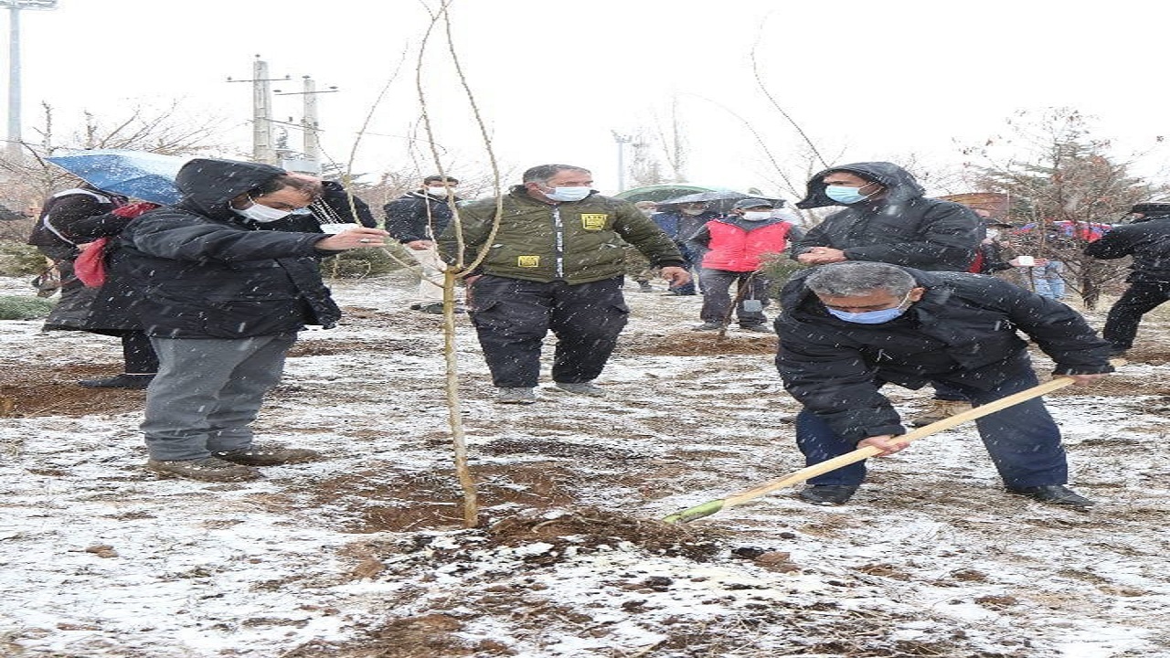 کاشت ۶۸ اصله نهال مزین به پلاکهایی با نام شهدای شهر اوشان فشم در روز درختکاری + تصاویر کاشت ۶۸ اصله نهال مزین به پلاکهایی با نام شهدای شهر اوشان فشم در روز درختکاری + تصاویر