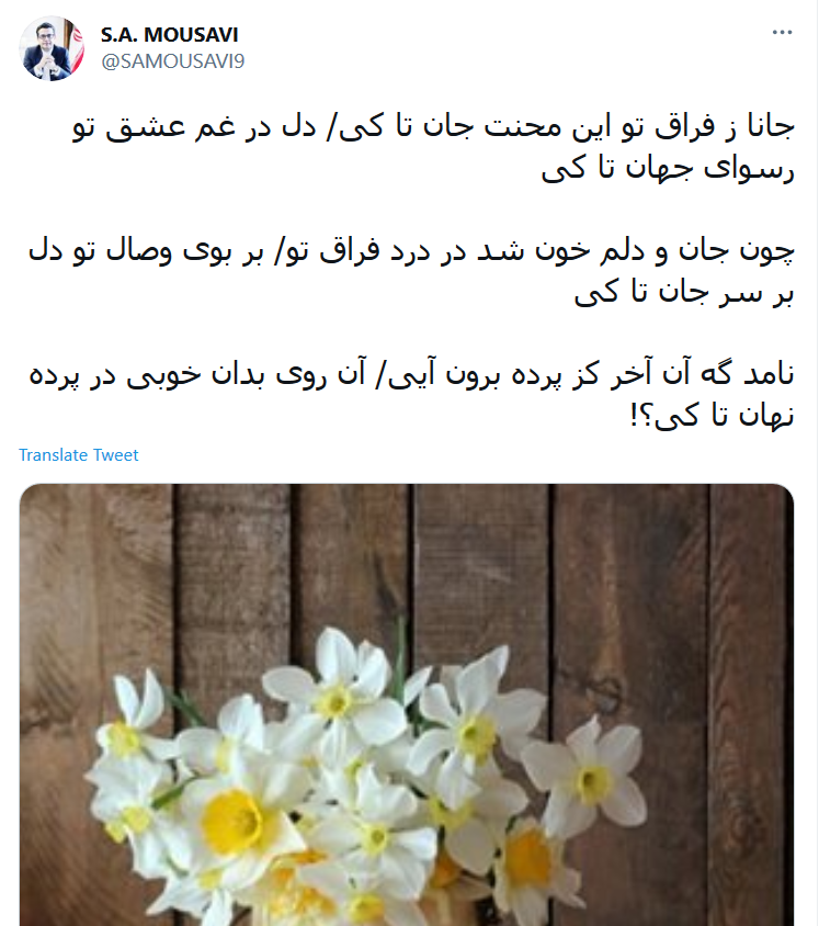 توئیت موسوی .