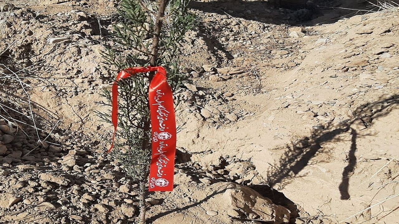 مشارکت همگان در حفظ منابع طبیعی سیستان و بلوچستان ضروری است