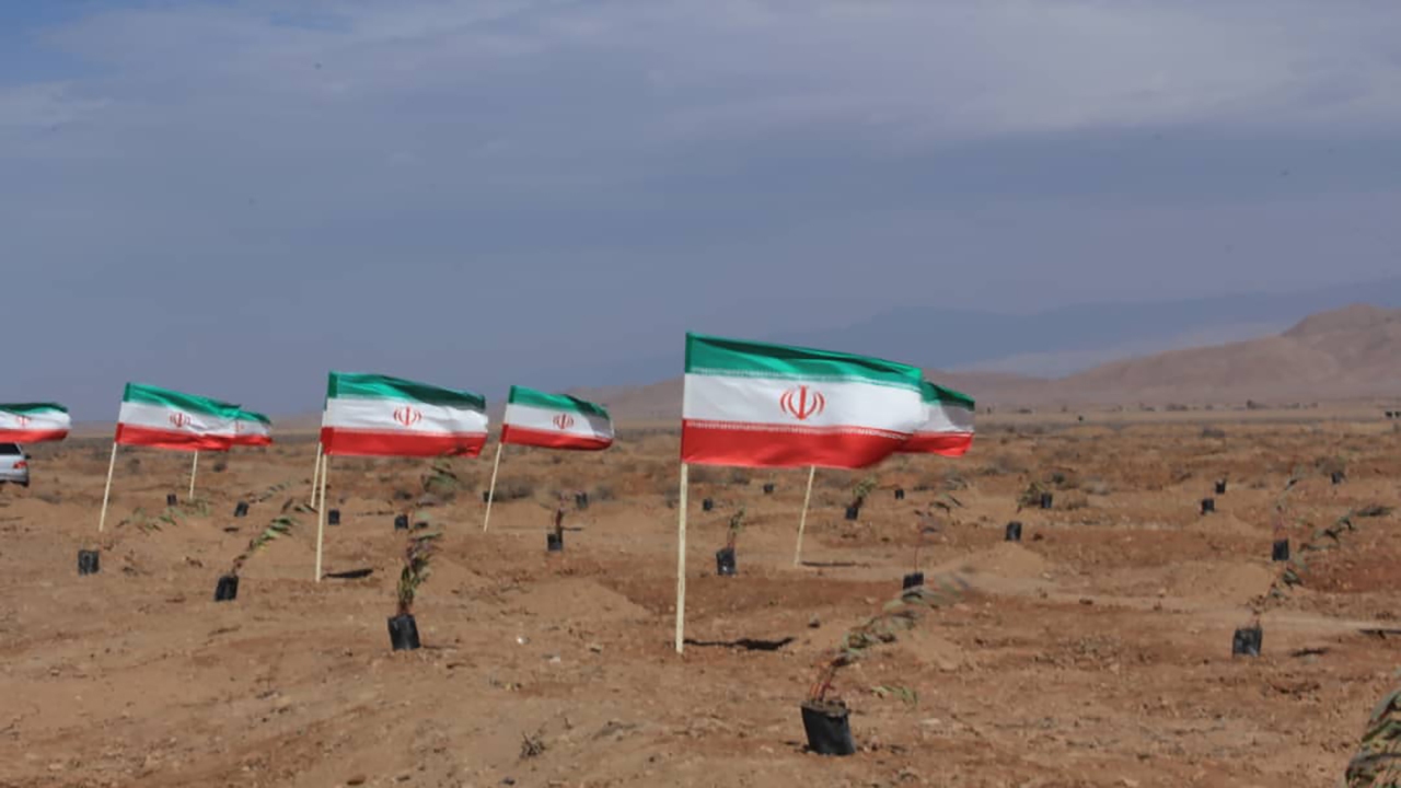 غرس نهال در سراسر استان کرمان