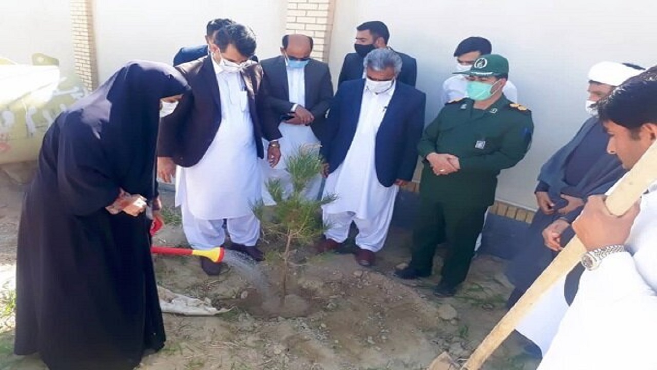 یک هزار و ۵۰۰ اصله نهال در مهرستان غرس می شود