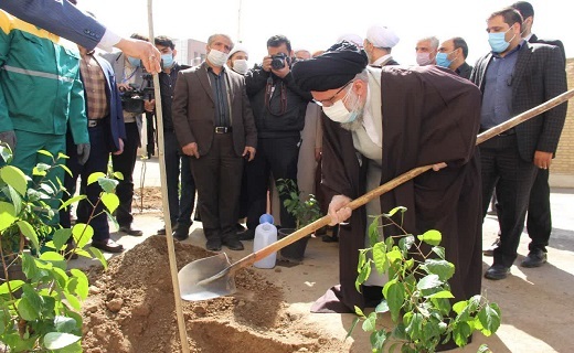 ائمه جمعه قم و تهران نهال کاشتند ائمه جمعه قم و تهران نهال کاشتند