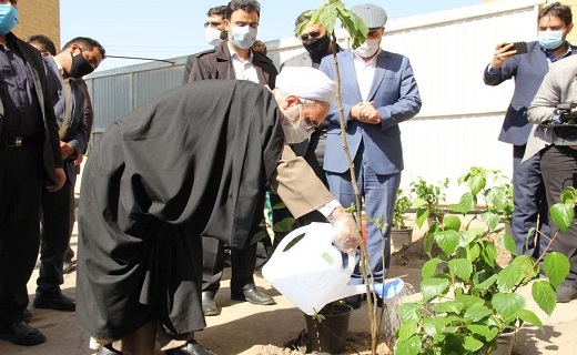 ائمه جمعه قم و تهران نهال کاشتند ائمه جمعه قم و تهران نهال کاشتند