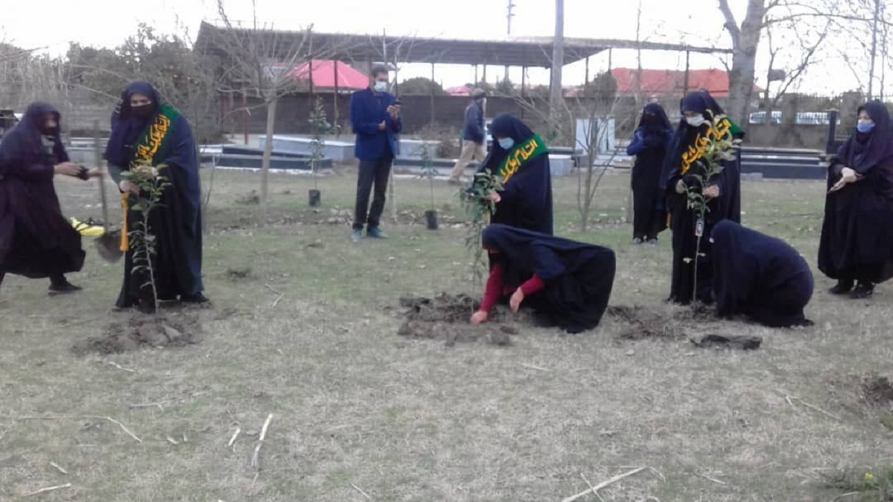 کاشت نهال به یاد شهدا توسط بانوان خدمت رضوی بابل