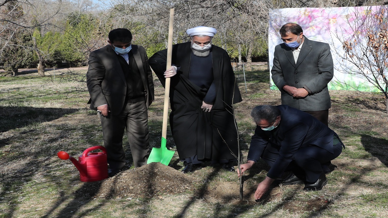 روحانی یک اصله نهال کاشت