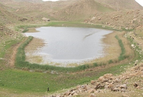 کشاورزی در تالاب