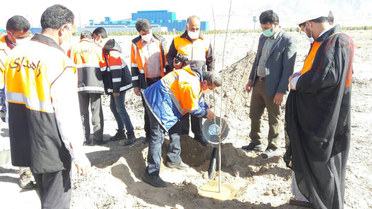 غرس نهال در حاشیه بزرگراه محور زرند ـ کرمان