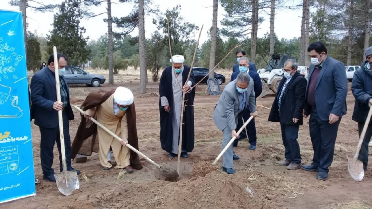 غرس ۶۳۱ اصله نهال در تربت جام