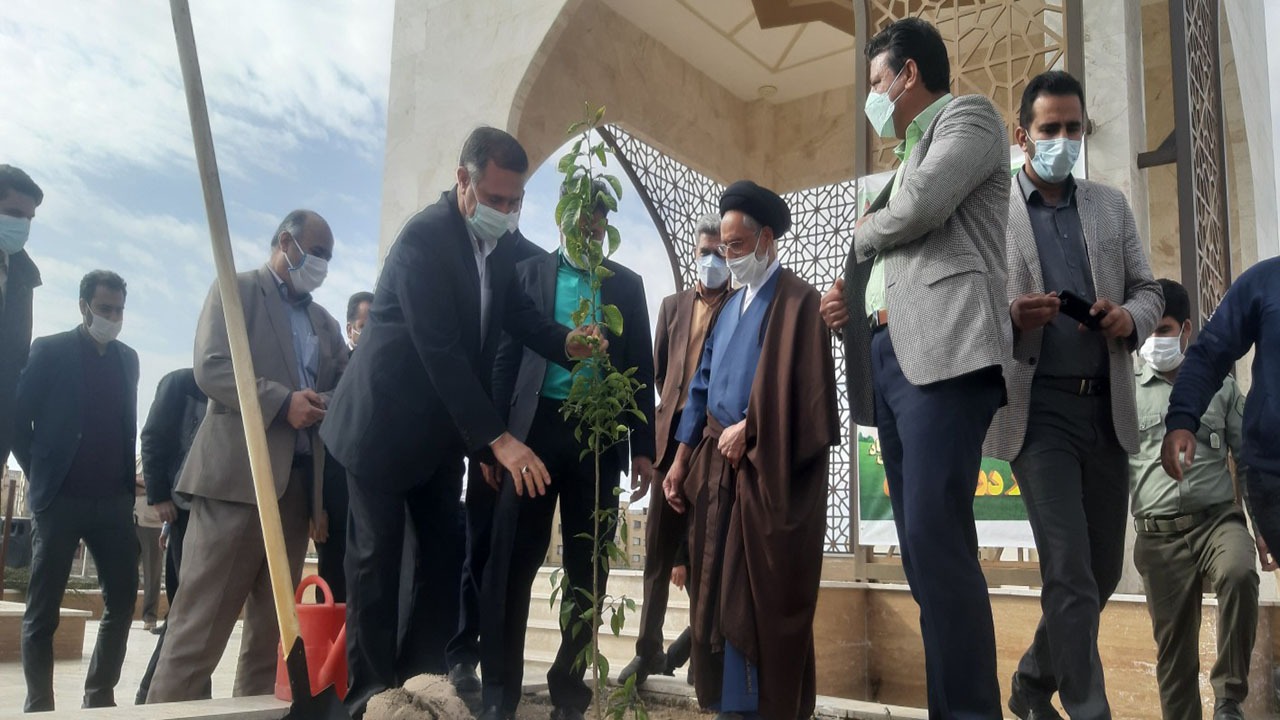 روز درختکاری در سیرجان