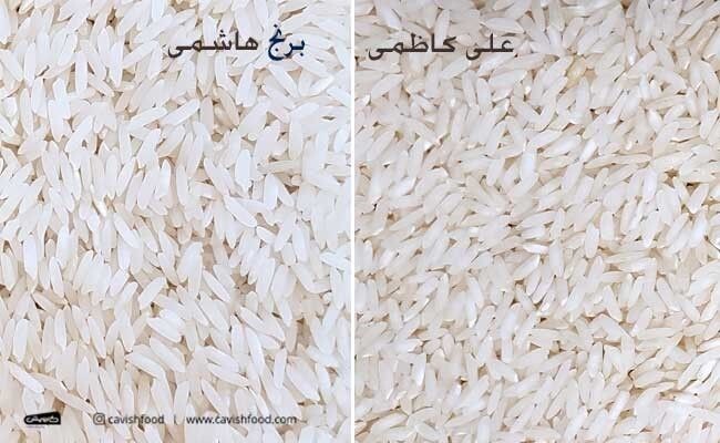 انواع برنج ایرانی و بهترین برنج ایرانی