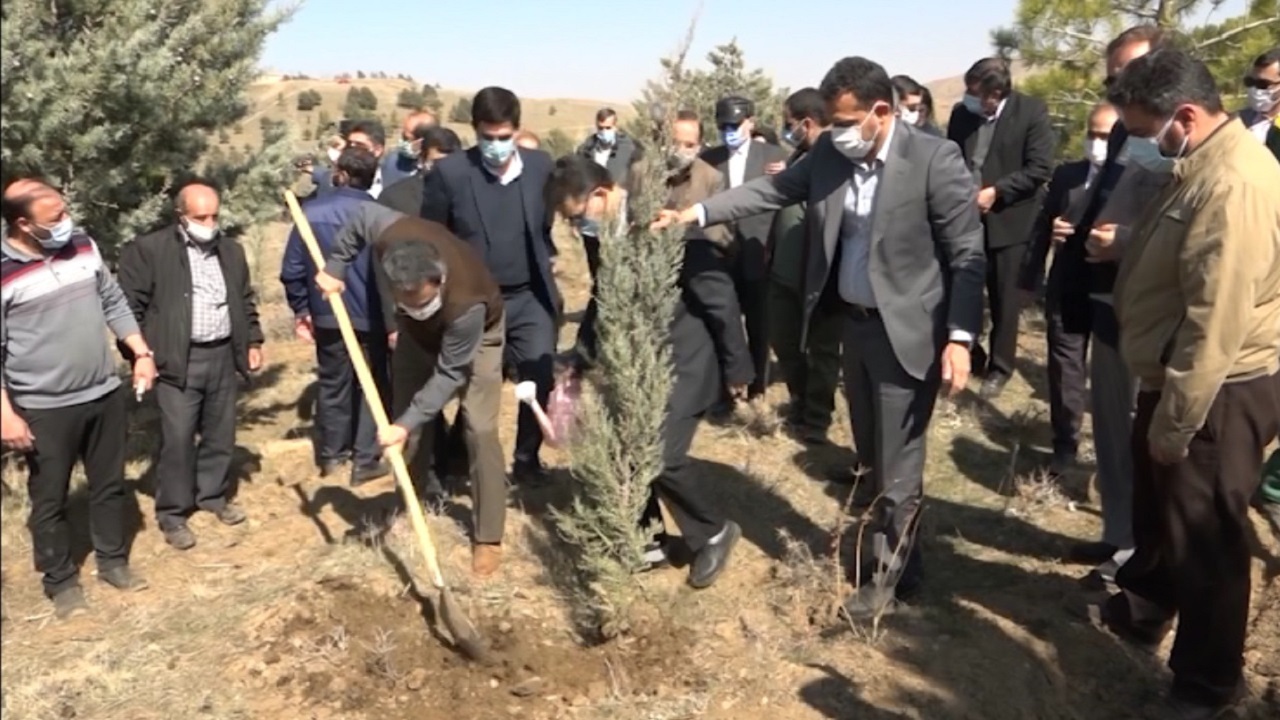 درختکاری در پارک جنگلی سد اکباتان انجام شد