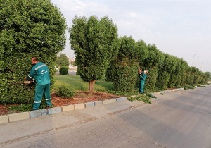 گسترش فضای سبز در دستور کار شرکت ملی حفاری ایران است