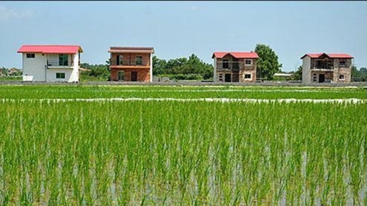 دولت مکلف است طی ۲ سال زمین‌های کشاورزی را صاحب سند کند