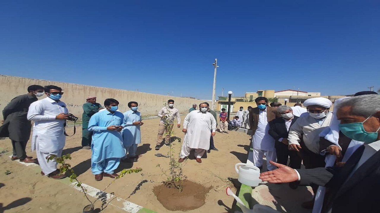 شهردار: افزون‌بر چهار هزار اصله نهال و گل زینتی در ایرانشهر توزیع شد