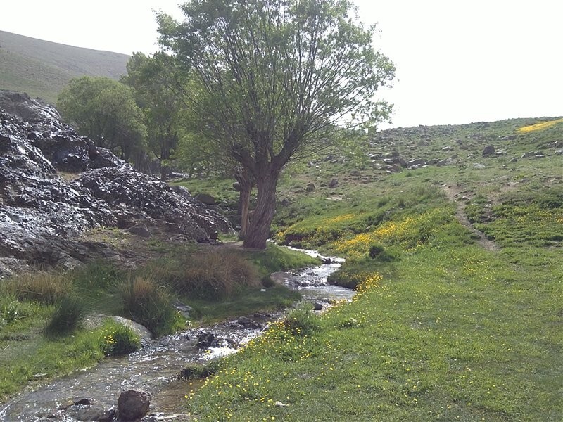 سفر به سرزمین سرسبزی و طراوت/ آبشاری در دل طبیعت + عکس