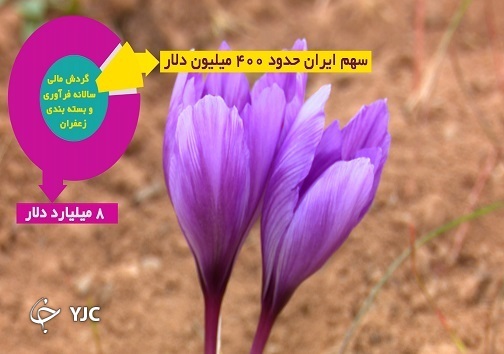 طلای سرخ تمام عیار در رکود فرآوری/ قرمزی زعفران فقط به خارجی ها چشمک می زند! طلای سرخ تمام عیار در رکود فرآوری/ قرمزی زعفران فقط به خارجی ها چشمک می زند!