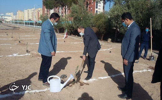 افتتاح بوستان شهید گمنام با غرس نهال زیتون