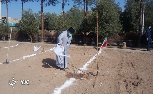 افتتاح بوستان شهید گمنام با غرس نهال زیتون