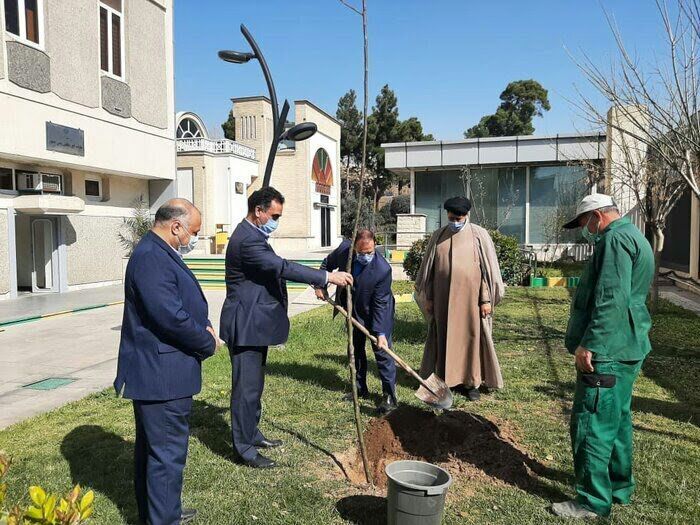 امیدواریم سنت درختکاری مانند یک نهضت در کشور ادامه یابد