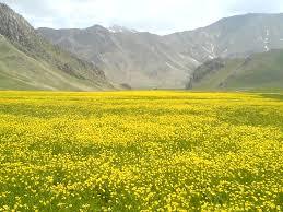 از