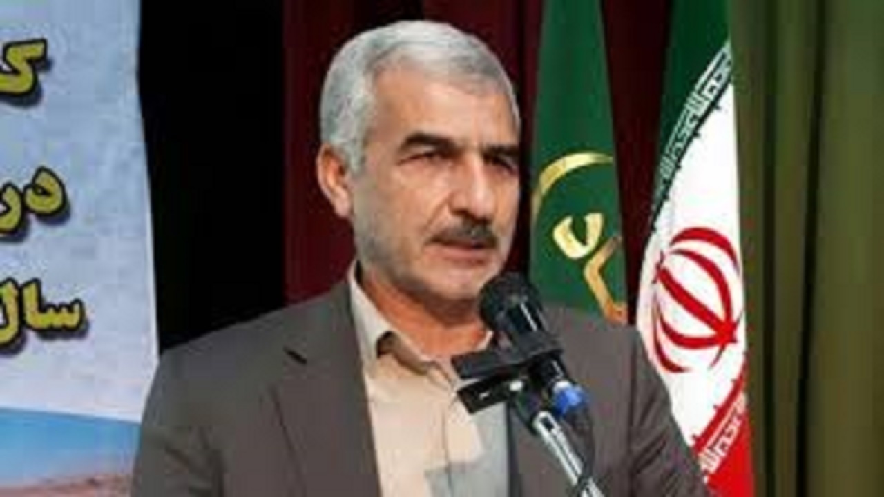 رشد ۳.۲ درصدی کشت گندم دیم در سال زراعی ۹۹