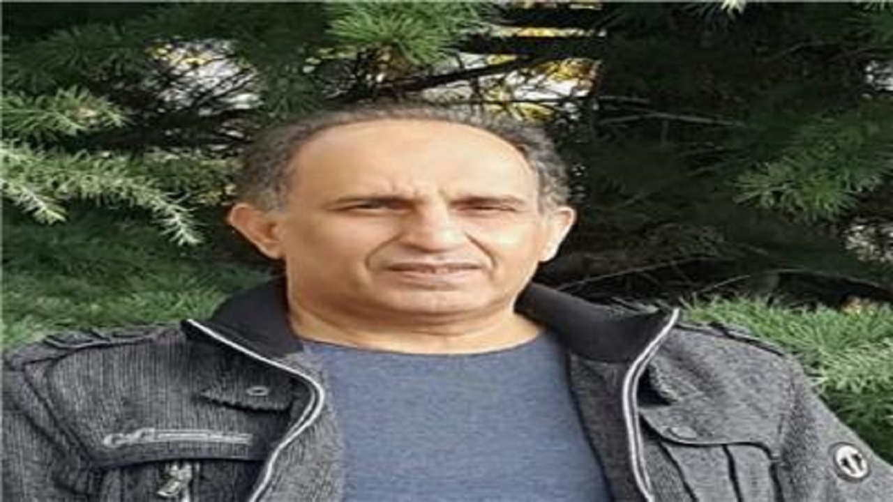 درخشش هنرمند دزفولی در  نمایش مدل آرت هلند