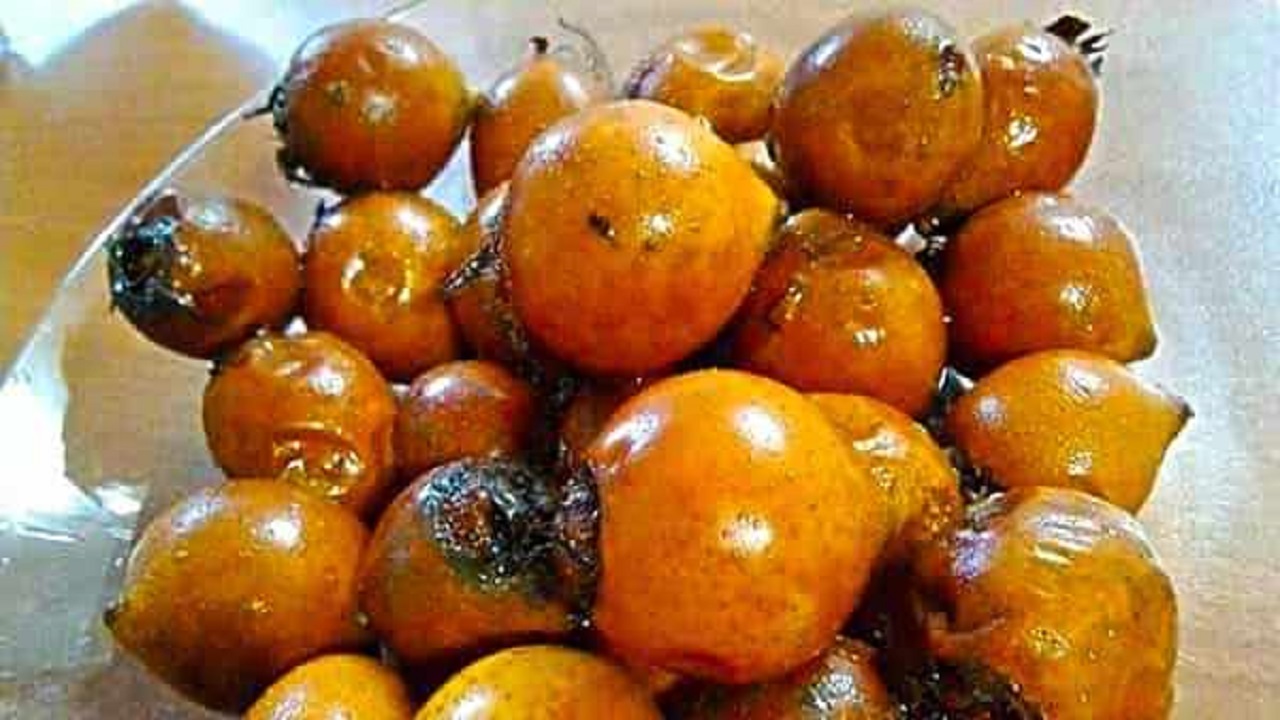 طرز تهیه ترشی ازگیل یک ترشی پاییزی + خواص آن