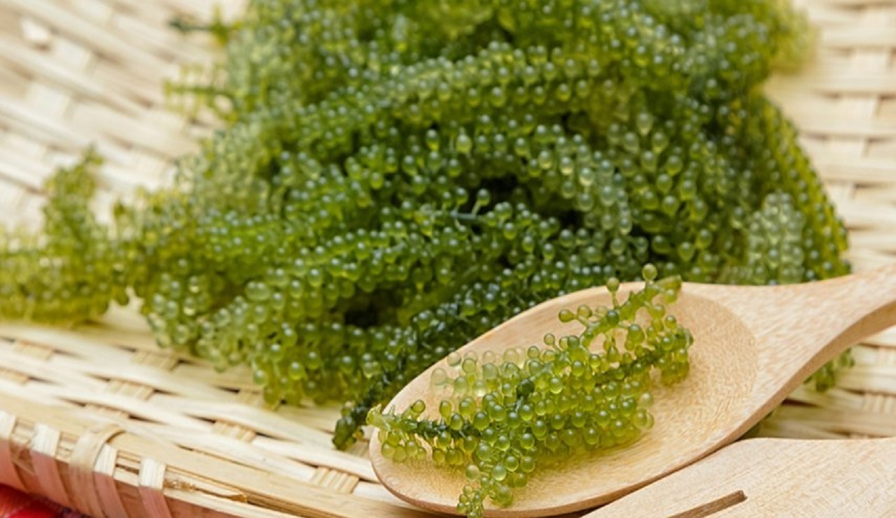 خاویار سبز