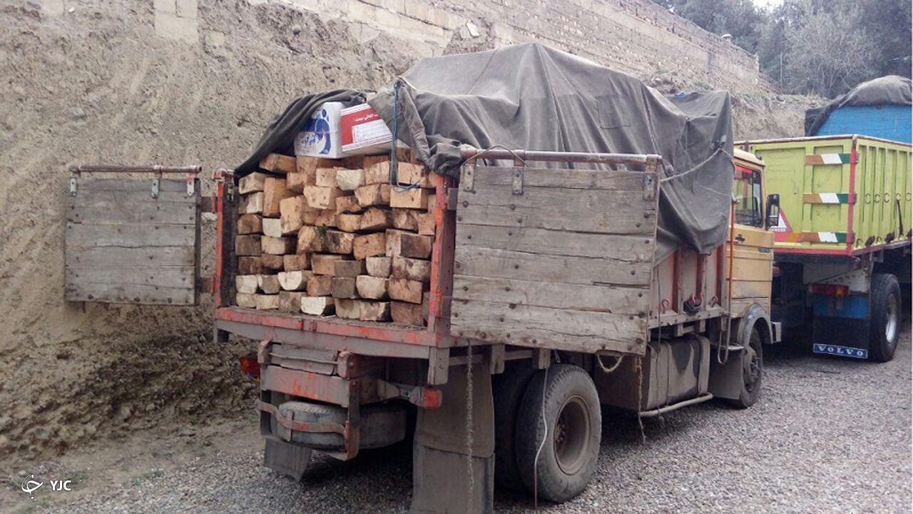 ۷۰ تن انواع چوب در مهاباد کشف و ضبط شد