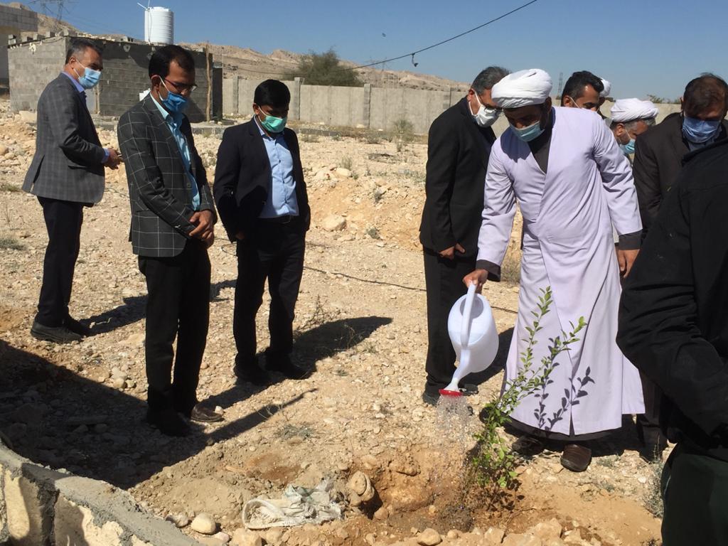 کاشت درخت در دانشگاه پیام نور  مُهر