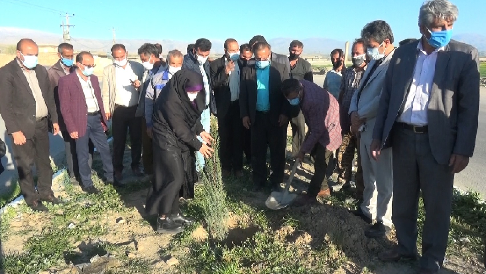 کاشت ۲۰۰ اصله نهال در ورودی شهر دهدشت