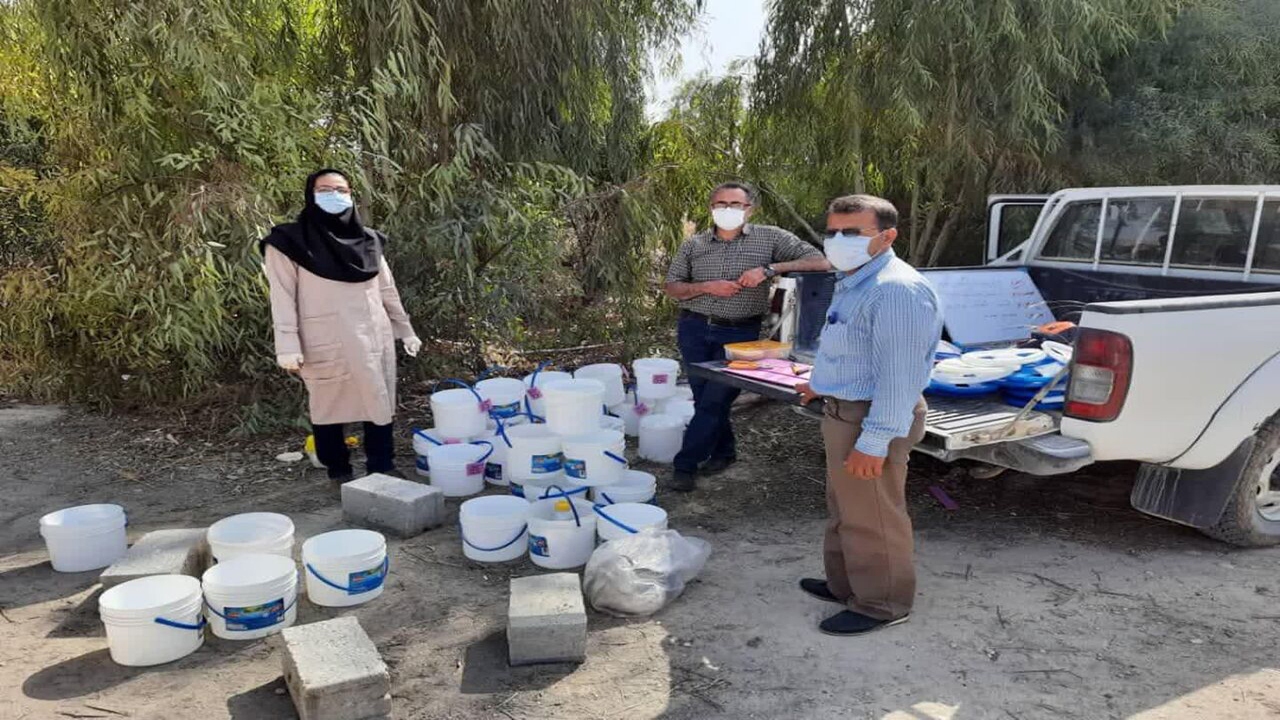 آغاز طرح شکار انبوه آفت سرخرطومی حنایی خرما در گراش