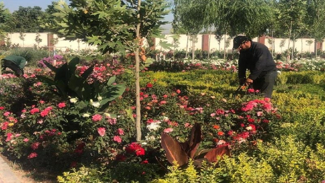 کرج، متر به متر گل کاری شد