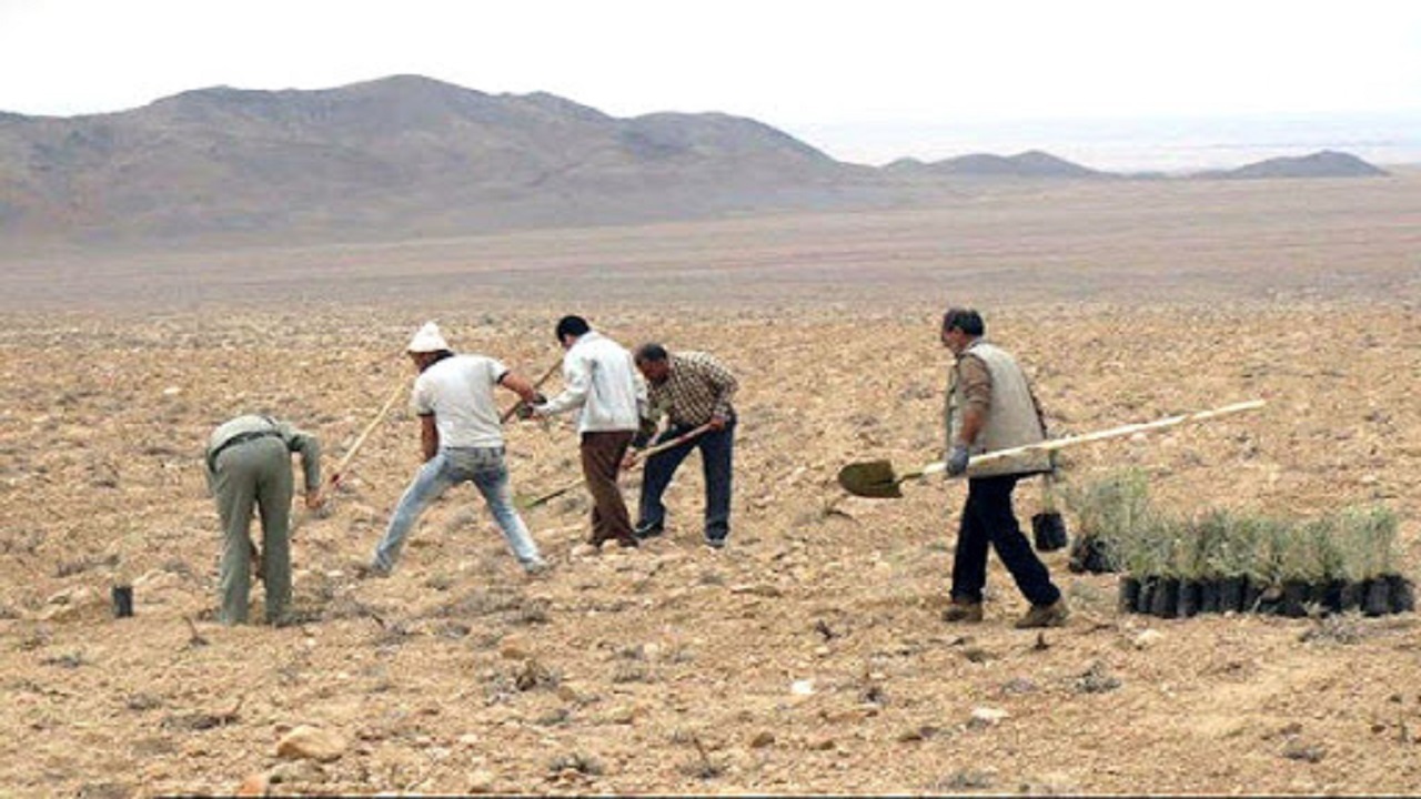 انجام عملیات بیابانزدایی با اعتبار ۶۰ میلیارد ریال در استان سمنان