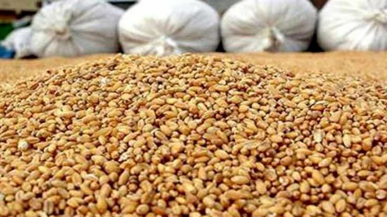 کشف احتکار ۵۳۵ تن خوراک دام و طیور در جویبار